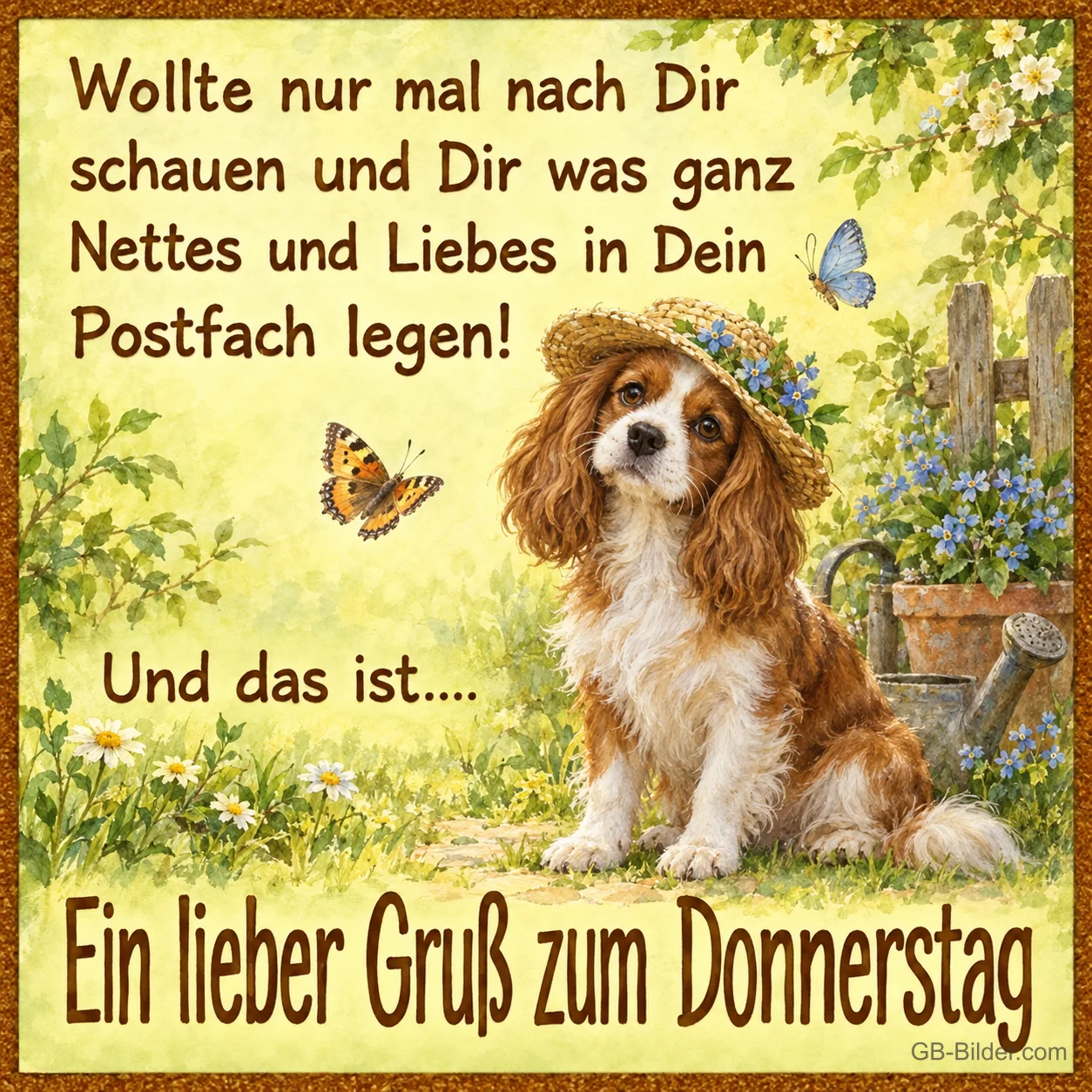 Cavalier-Spaniel mit Blumenhut im Garten, Text: Wollte nur mal nach Dir schauen und Dir was ganz Nettes und Liebes in Dein Postfach legen! Und das ist…. Ein lieber Gruß zum Donnerstag