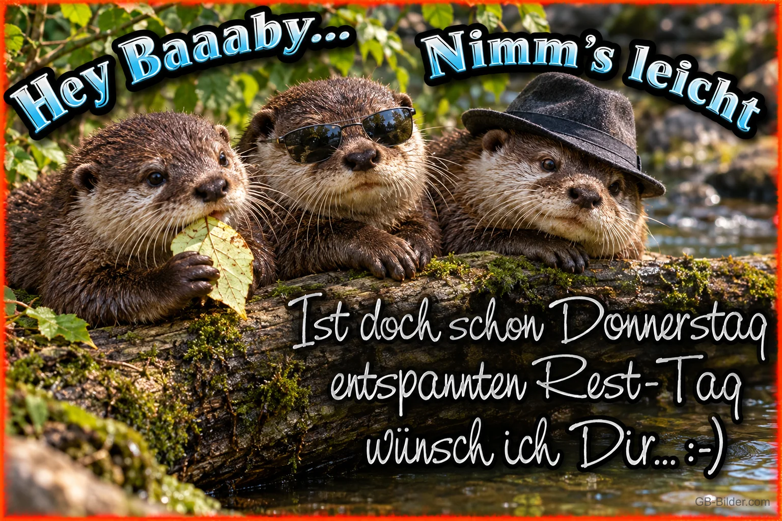 Drei Otter mit Sonnenbrille und Hut am Wasser, Text: Hey Baaaby, nimm’s leicht. Ist doch schon Donnerstag