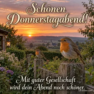 Zwei Rotkehlchen auf einem Gartenzaun bei Sonnenuntergang, Text: Schönen Donnerstagabend! Mit guter Gesellschaft wird dein Abend noch schöner.