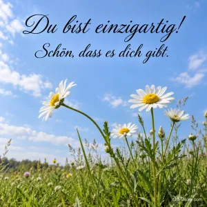 Margeriten auf einer Sommerwiese, Text: Du bist einzigartig! Schön, dass es dich gibt.