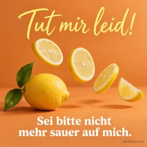 Zitronenscheiben vor orangem Hintergrund, Text: Tut mir leid! Sei bitte nicht mehr sauer auf mich.