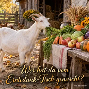 Eine weiße Ziege knabbert auf dem Bauernhof an einem Erntetisch mit Gemüse und Äpfeln, Text: Wer hat da vom Erntedank-Tisch genascht?