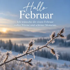 Bereifter Zweig vor Winterlandschaft, Text: Hallo Februar