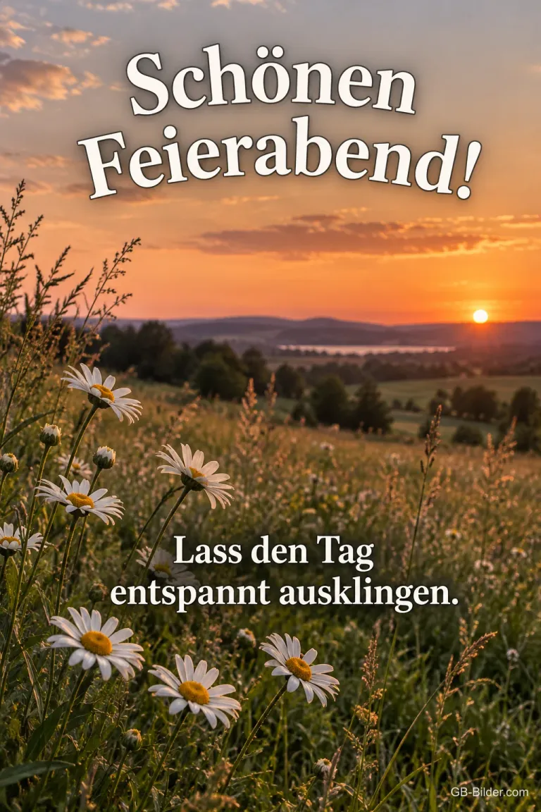 Margeriten auf einer Wiese im Sonnenuntergang, Text: Schönen Feierabend! Lass den Tag entspannt ausklingen.