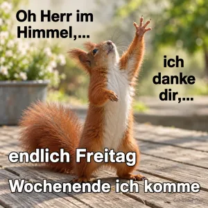 Eichhörnchen reckt die Pfoten, lustiger Spruch, Text: Oh Herr im Himmel,