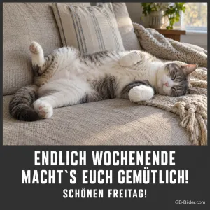 Entspannte Katze auf dem Sofa, Text: ENDLICH WOCHENENDE MACHT'S EUCH GEMÜTLICH