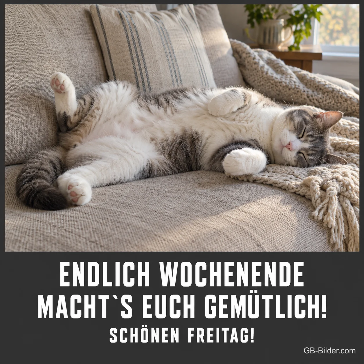 Entspannte Katze auf dem Sofa, Text: ENDLICH WOCHENENDE MACHT'S EUCH GEMÜTLICH Entspannte Katze auf dem Sofa, Text: ENDLICH WOCHENENDE MACHT'S EUCH GEMÜTLICH