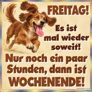 Hund springt mit fliegenden Ohren und heraushängender Zunge, Text: FREITAG! Es ist mal wieder soweit! Nur noch ein paar Stunden, dann ist WOCHENENDE!
