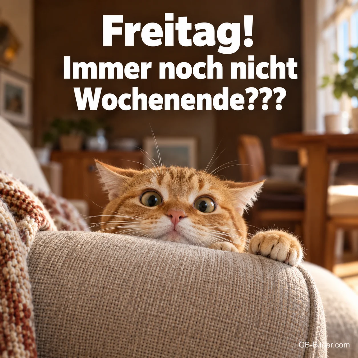 Katze schaut mit großen Augen über die Sofalehne, Text: Freitag! – Immer noch nicht Wochenende??? Katze schaut mit großen Augen über die Sofalehne, Text: Freitag! – Immer noch nicht Wochenende???