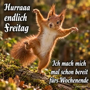 Eichhörnchen streckt jubelnd die Arme auf einem Ast, Text: Hurraaa endlich Freitag – Ich mach mich mal schon bereit fürs Wochenende