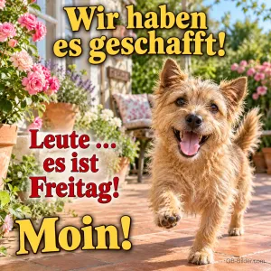 Terrier rennt fröhlich über eine Terrasse, Text: Wir haben es geschafft! – Leute … es ist Freitag! Moin!