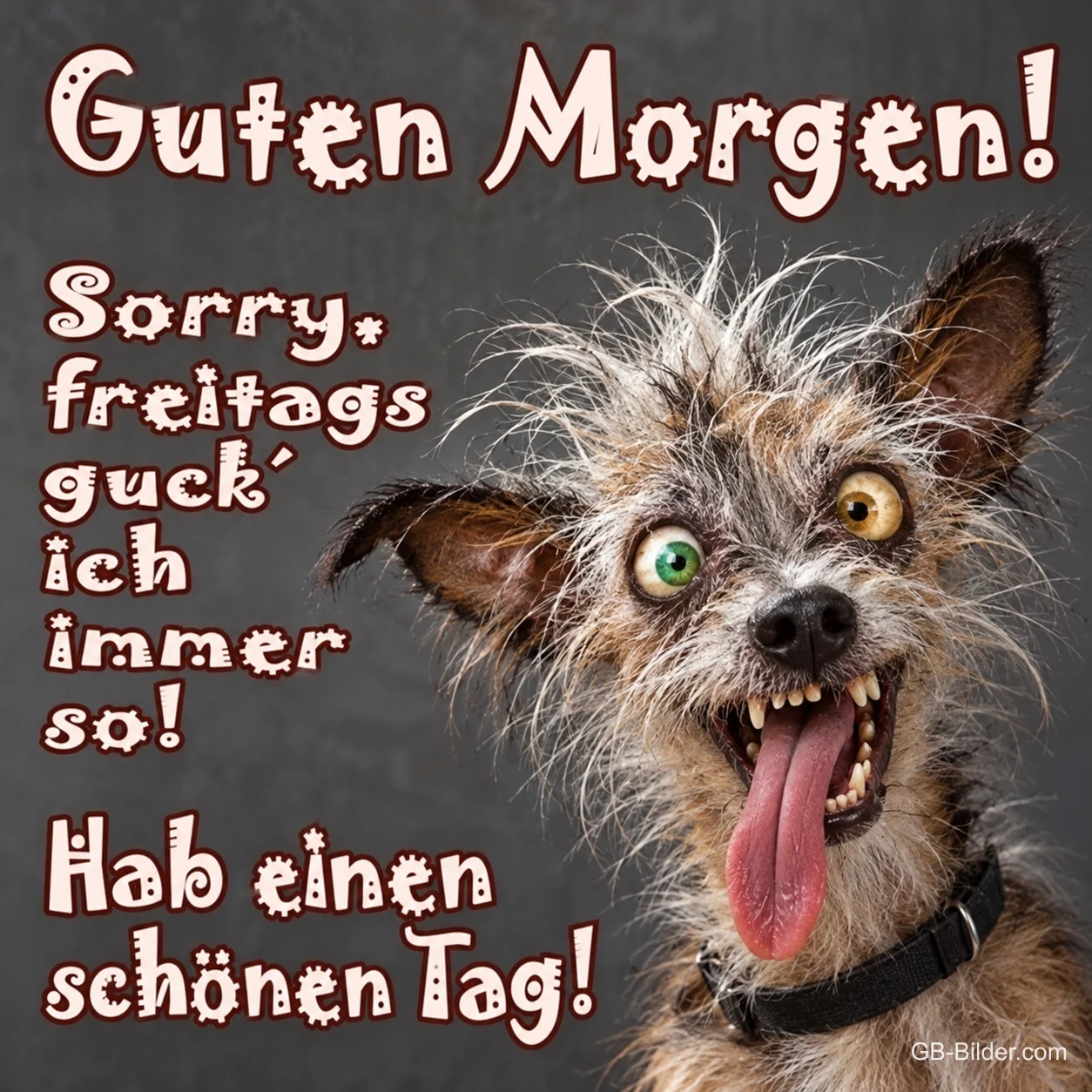Zerzauster Hund mit heraushängender Zunge und schielenden Augen, Text: Guten Morgen! Sorry, freitags guck' ich immer so! Hab einen schönen Tag!