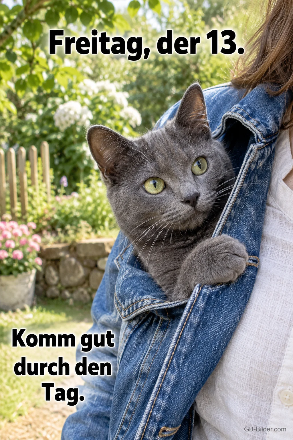 Graue Katze schaut aus einer Jeansjacke, Text: Freitag, der 13. – Komm gut durch den Tag.