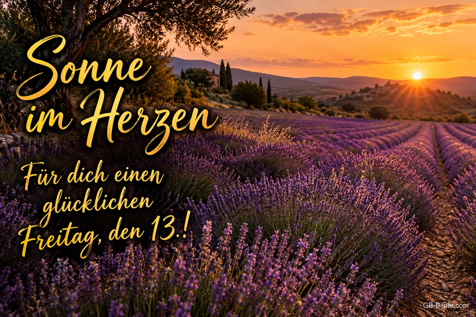 Lavendelfeld mit Bäumen im Sonnenuntergang, Text: Sonne im Herzen – Für dich einen glücklichen Freitag, den 13.!