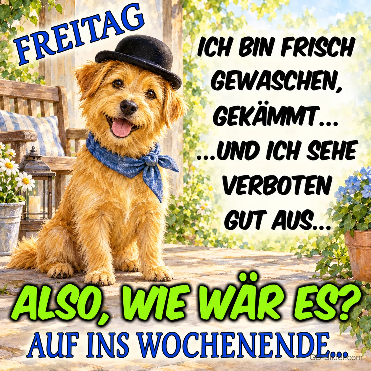 Hund mit Melone, lustiger Spruch, Text: FREITAG