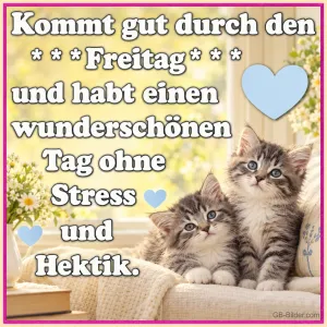 Zwei graue Kätzchen sitzen auf einem Sofa am Fenster, Text: Kommt gut durch den Freitag und habt einen wunderschönen Tag ohne Stress und Hektik.