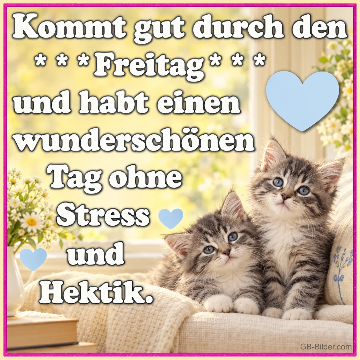 Zwei graue Kätzchen sitzen auf einem Sofa am Fenster, Text: Kommt gut durch den Freitag und habt einen wunderschönen Tag ohne Stress und Hektik.