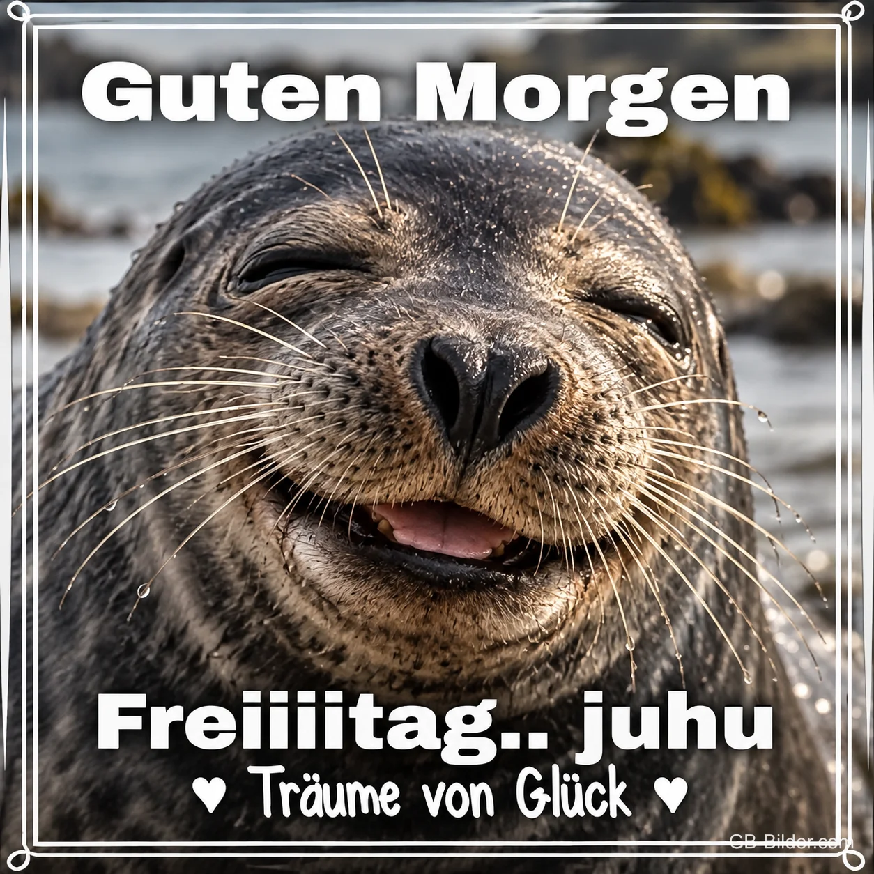 Lächelnde Robbe am Strand, Text: Guten Morgen – Freiiiitag … juhu