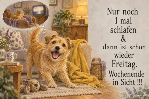 Fröhlicher Terrier im Wohnzimmer, Text: Nur noch 1 mal schlafen und dann ist schon wieder Freitag