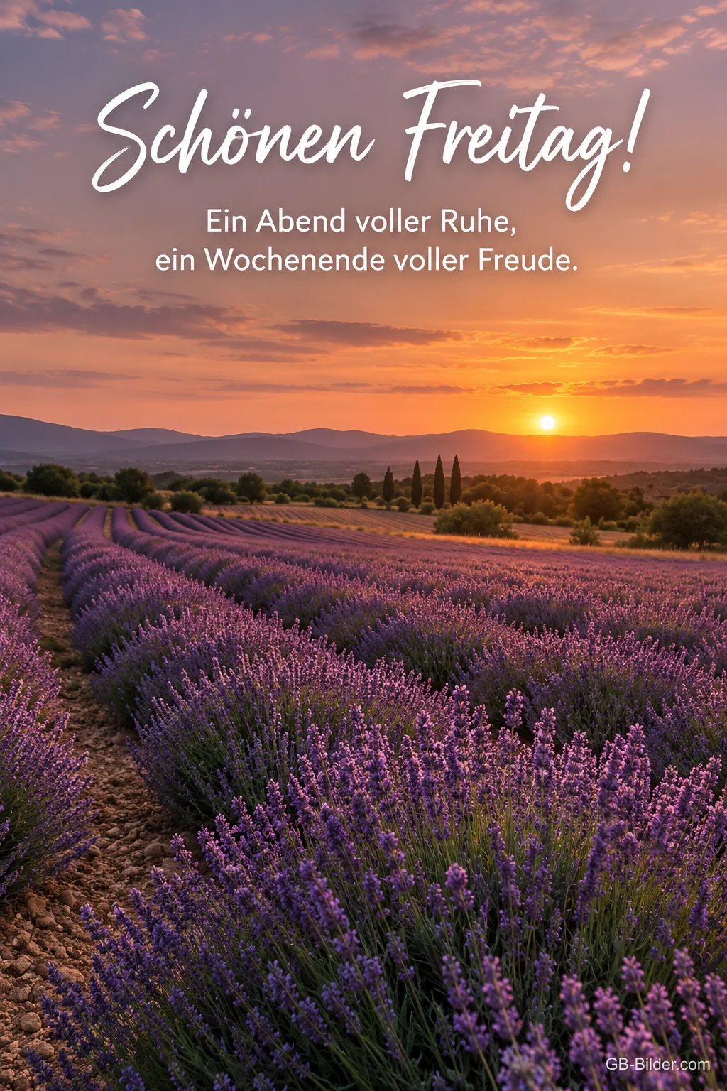 Lavendelfeld bei Sonnenuntergang, Text: Schönen Freitag! Ein Abend voller Ruhe, ein Wochenende voller Freude.