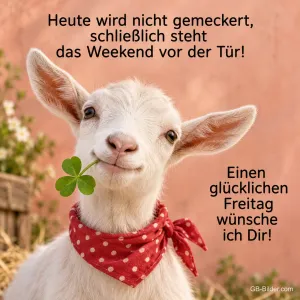Zicklein mit Halstuch hält ein Kleeblatt im Maul, Text: Heute wird nicht gemeckert, schließlich steht das Weekend vor der Tür! Einen glücklichen Freitag wünsche ich Dir!
