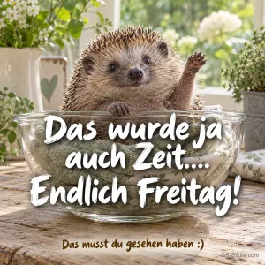 Igel winkt aus einer Glasschüssel, Text: Das wurde ja auch Zeit…. Endlich Freitag! Das musst du gesehen haben :)