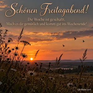 Sonnenuntergang über einer Landschaft mit Gräsern und Vögeln, Text: Schönen Freitagabend! – Die Woche ist geschafft. Mach es dir gemütlich und komm gut ins Wochenende!
