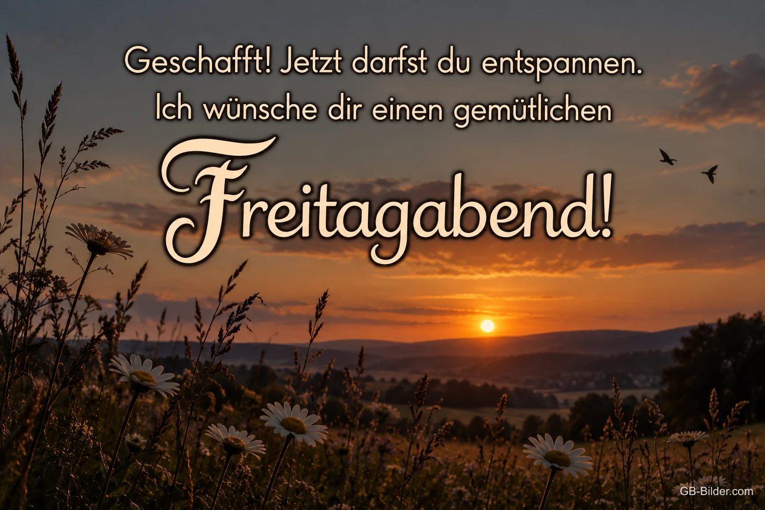 Sonnenuntergang über einer Wiese mit Margeriten, Text: Geschafft! Jetzt darfst du entspannen. – Ich wünsche dir einen gemütlichen Freitagabend! Sonnenuntergang über einer Wiese mit Margeriten, Text: Geschafft! Jetzt darfst du entspannen. – Ich wünsche dir einen gemütlichen Freitagabend!
