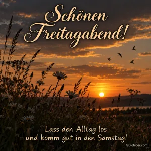 Gräser und Blumen vor dem Sonnenuntergang, Vögel fliegen, Text: Schönen Freitagabend! – Lass den Alltag los und komm gut in den Samstag!