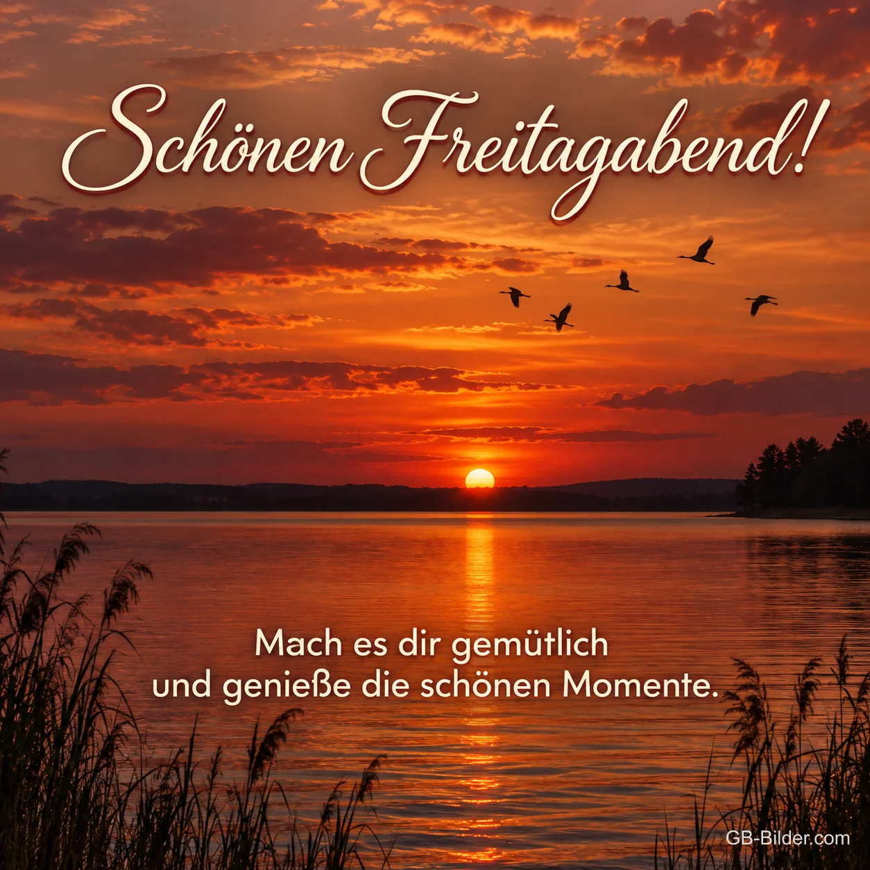 Sonnenuntergang über einem See mit fliegenden Gänsen, Text: Schönen Freitagabend! – Mach es dir gemütlich und genieße die schönen Momente. Sonnenuntergang über einem See mit fliegenden Gänsen, Text: Schönen Freitagabend! – Mach es dir gemütlich und genieße die schönen Momente.