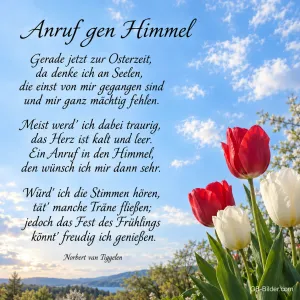 Rote und weiße Tulpen vor blauem Himmel, Text: Anruf gen Himmel Gerade jetzt zur Osterzeit, da denke ich an Seelen, die einst von mir gegangen sind und mir ganz mächtig fehlen. Meist werd' ich dabei traurig, das Herz ist kalt und leer. Ein Anruf in den Himmel, den wünsch ich mir dann sehr. Würd' ich die Stimmen hören, tät' manche Träne fließen; jedoch das Fest des Frühlings könnt' freudig ich genießen.