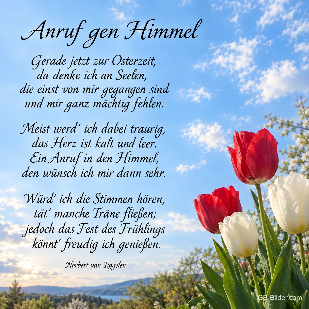 Rote und weiße Tulpen vor blauem Himmel, Text: Anruf gen Himmel Gerade jetzt zur Osterzeit, da denke ich an Seelen, die einst von mir gegangen sind und mir ganz mächtig fehlen. Meist werd' ich dabei traurig, das Herz ist kalt und leer. Ein Anruf in den Himmel, den wünsch ich mir dann sehr. Würd' ich die Stimmen hören, tät' manche Träne fließen; jedoch das Fest des Frühlings könnt' freudig ich genießen. Rote und weiße Tulpen vor blauem Himmel, Text: Anruf gen Himmel Gerade jetzt zur Osterzeit, da denke ich an Seelen, die einst von mir gegangen sind und mir ganz mächtig fehlen. Meist werd' ich dabei traurig, das Herz ist kalt und leer. Ein Anruf in den Himmel, den wünsch ich mir dann sehr. Würd' ich die Stimmen hören, tät' manche Träne fließen; jedoch das Fest des Frühlings könnt' freudig ich genießen.