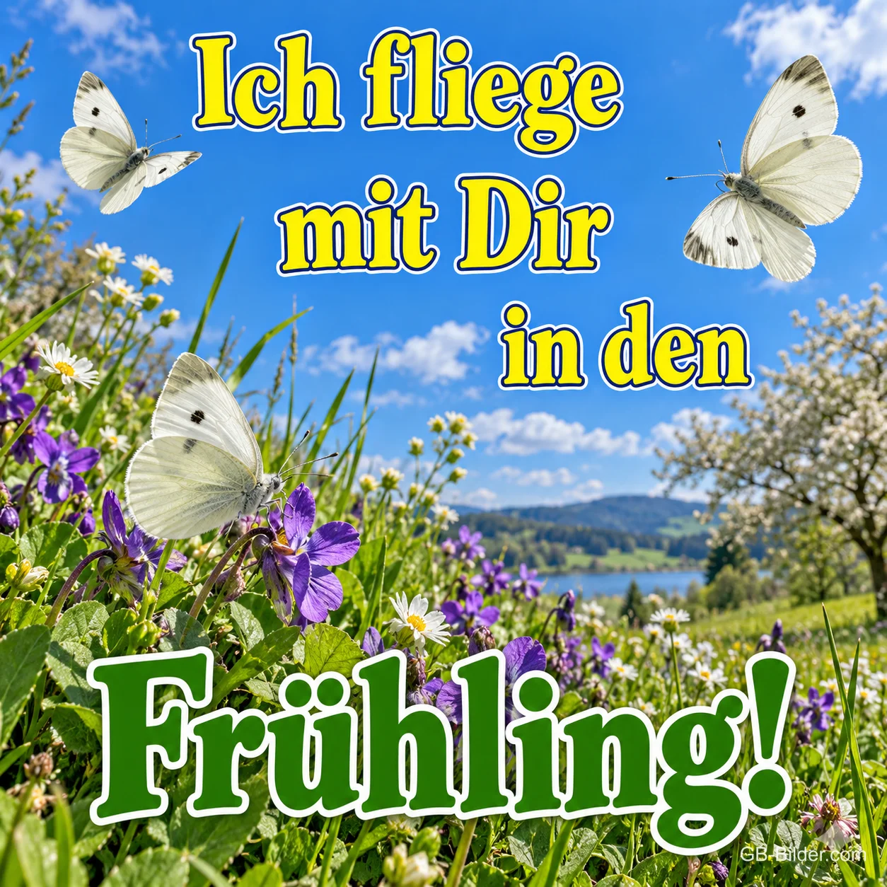 Weiße Schmetterlinge über einer Frühlingswiese, Text: Ich fliege mit dir in den – Frühling!