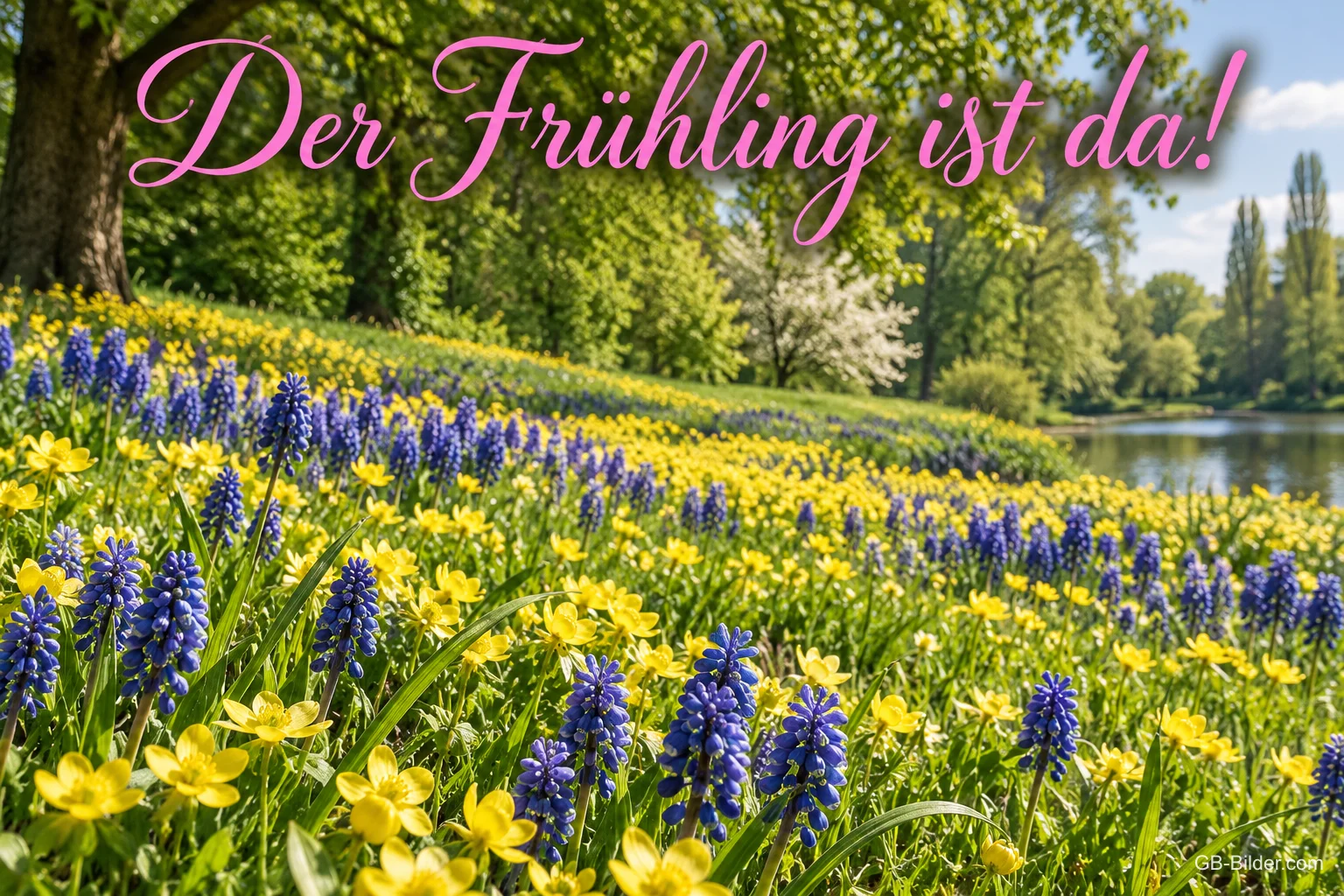 Wiese mit Traubenhyazinthen und Butterblumen am See, Text: Der Frühling ist da!