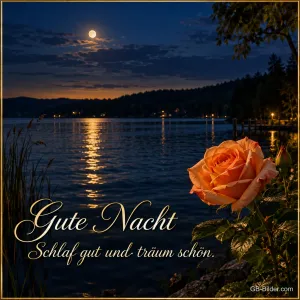 Orange Rose am See unter dem Vollmond, Text: Gute Nacht – Schlaf gut und träum schön.