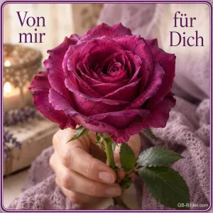 Hand hält eine lila Rose, Text: Von mir für Dich