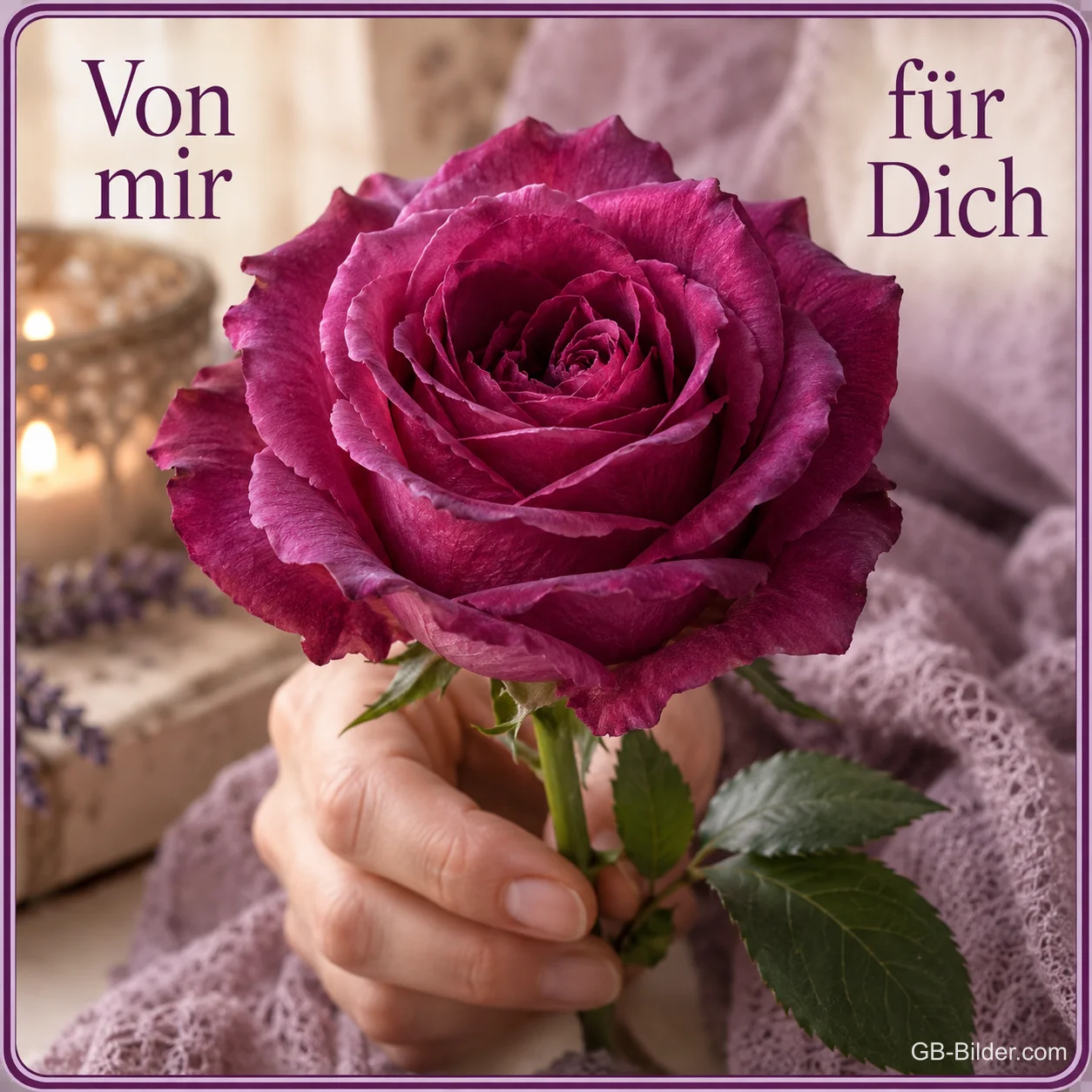 Hand hält eine lila Rose, Text: Von mir für Dich
