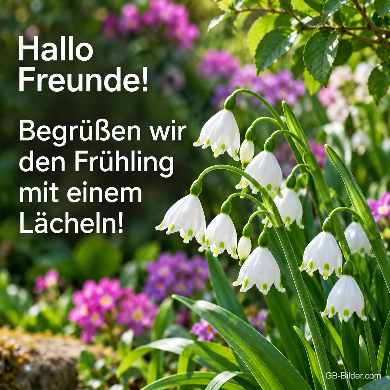 Märzenbecher zwischen Frühlingsblumen, Text: Hallo Freunde! – Begrüßen wir den Frühling mit einem Lächeln!
