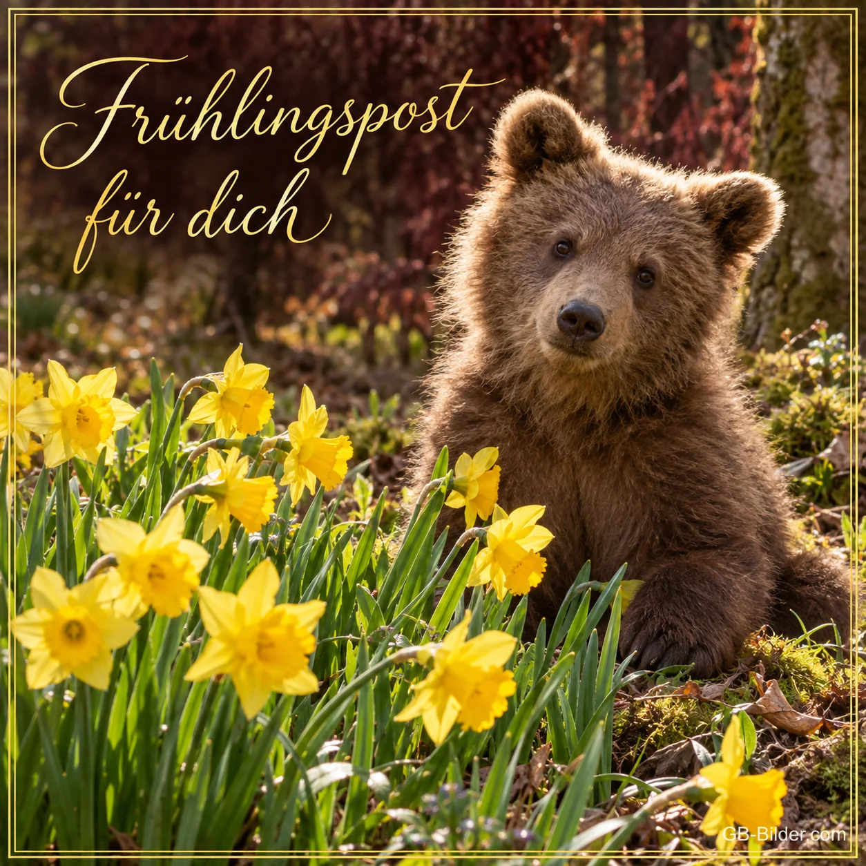 Bärenjunges sitzt zwischen gelben Narzissen, Text: Frühlingspost – für dich