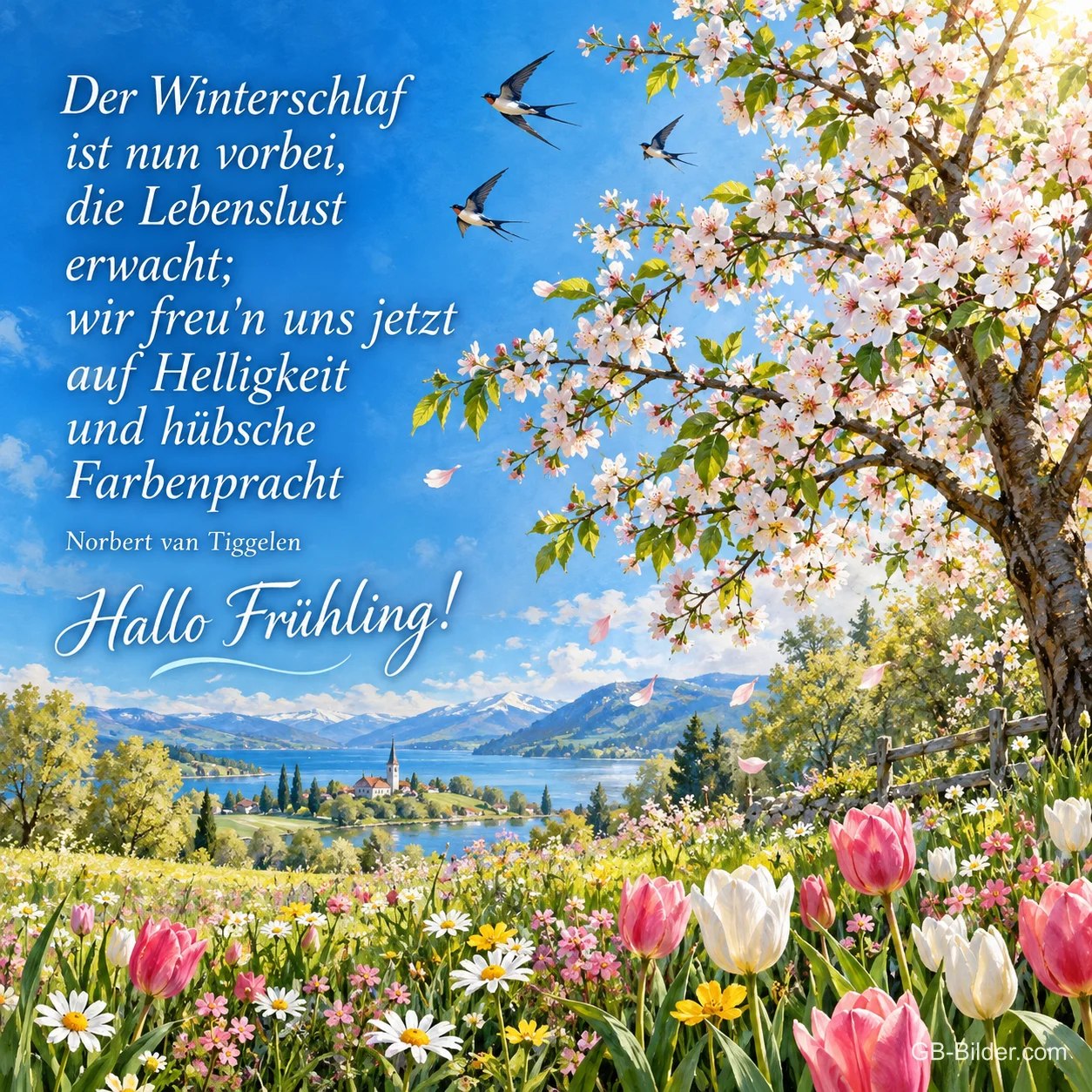 Blühender Baum über einer Tulpenwiese mit Schwalben, Text: Der Winterschlaf ist nun vorbei, die Lebenslust erwacht; wir freu'n uns jetzt auf Helligkeit und hübsche Farbenpracht – Norbert van Tiggelen – Hallo Frühling! Blühender Baum über einer Tulpenwiese mit Schwalben, Text: Der Winterschlaf ist nun vorbei, die Lebenslust erwacht; wir freu'n uns jetzt auf Helligkeit und hübsche Farbenpracht – Norbert van Tiggelen – Hallo Frühling!