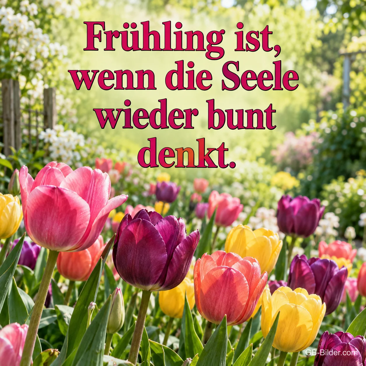 Bunte Tulpen in einem Frühlingsgarten, Text: Frühling ist, wenn die Seele wieder bunt denkt.