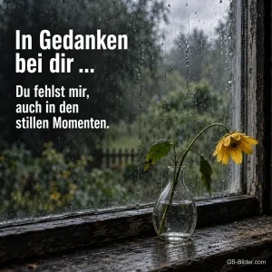 Welke Sonnenblume am regnerischen Fenster, Text: In Gedanken bei dir. Du fehlst mir.