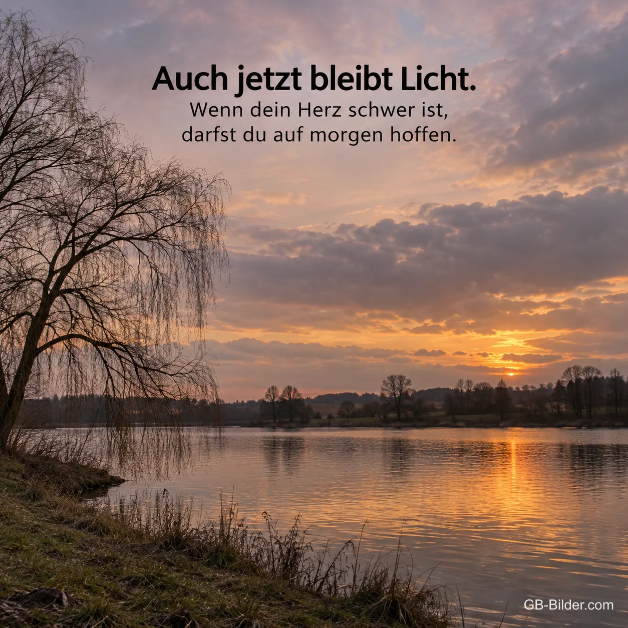 Trauerweide am See im Sonnenuntergang, Text: Auch jetzt bleibt Licht. Trauerweide am See im Sonnenuntergang, Text: Auch jetzt bleibt Licht.