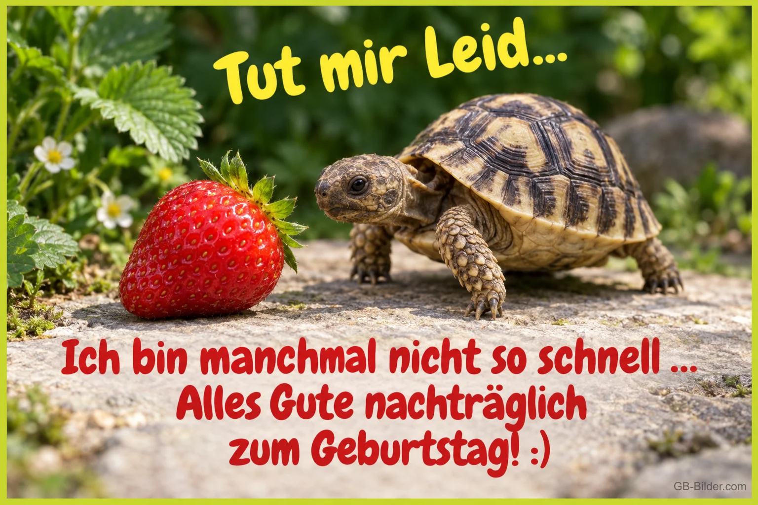 Schildkröte mit Erdbeere, Text: Tut mir Leid
