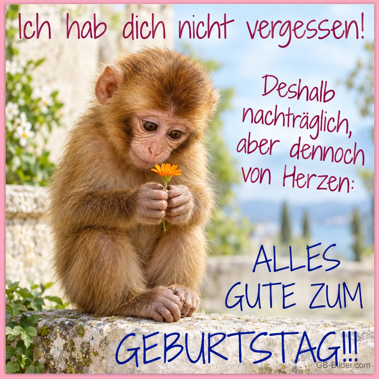 Affe mit Blume, nachträglicher Geburtstagsgruß, Text: Ich hab dich nicht vergessen