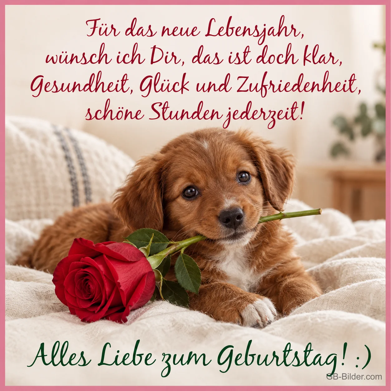 Welpe mit roter Rose, Geburtstagsgedicht, Text: Für das neue Lebensjahr, wünsch ich Dir, das ist doch klar, Gesundheit