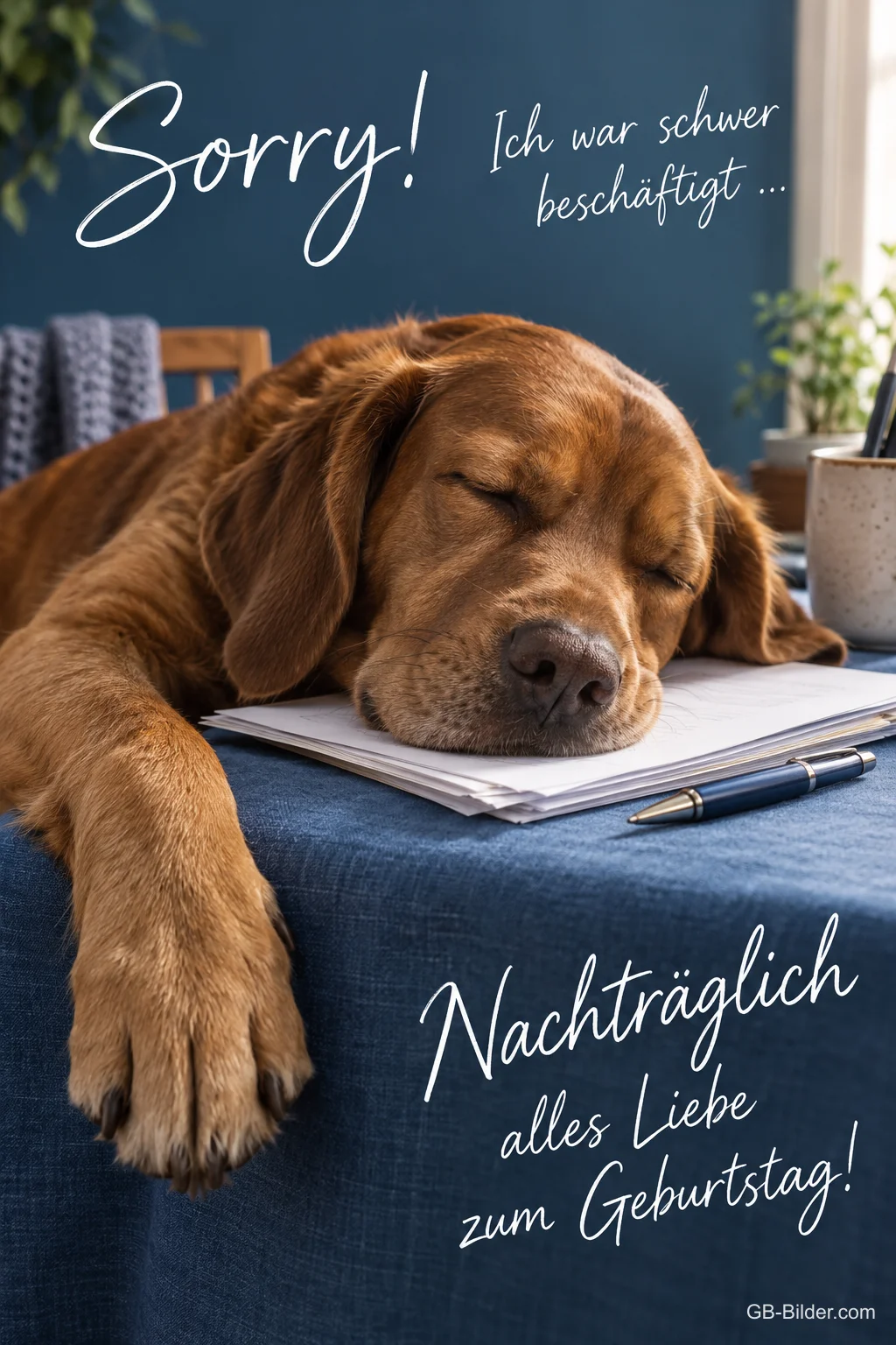 Hund schläft auf Papieren am Schreibtisch, Text: Sorry! Ich war schwer beschäftigt … – Nachträglich alles Liebe zum Geburtstag!
