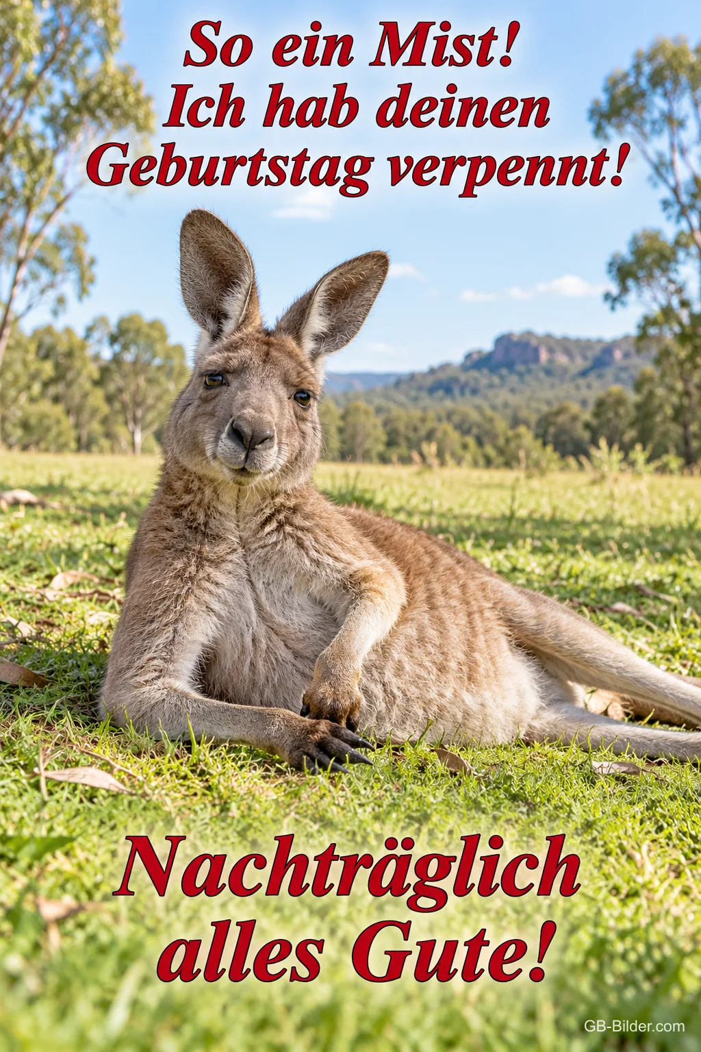 Entspanntes Känguru liegt im Gras, Text: So ein Mist! Ich hab deinen Geburtstag verpennt! – Nachträglich alles Gute!