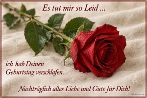 Rote Rose auf Leinen, Text: Es tut mir so Leid