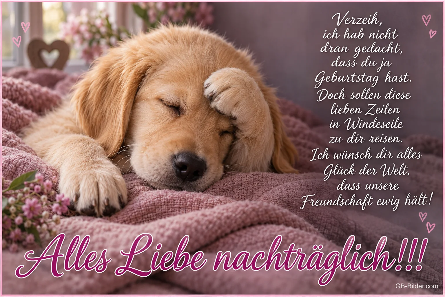 Golden-Retriever-Welpe hält sich die Pfote vor die Augen auf einer rosa Decke, Text: Verzeih, ich hab nicht dran gedacht, dass du ja Geburtstag hast. Doch sollen diese lieben Zeilen in Windeseile zu dir reisen. Ich wünsch dir alles Glück der Welt, dass unsere Freundschaft ewig hält! Alles Liebe nachträglich!!!
